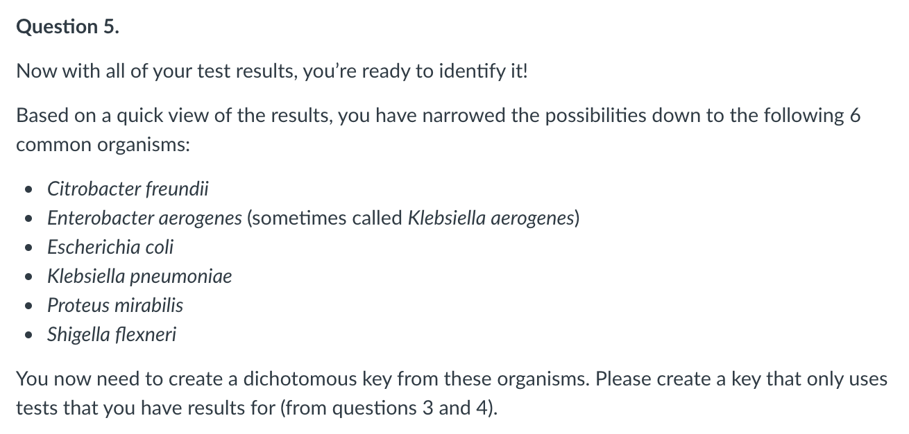 Solved Create a dichotomous key with the organisms named | Chegg.com