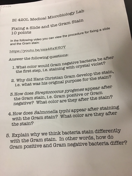 Solved BI 420L Medical Microbiolo Fixing A Slide And The | Chegg.com