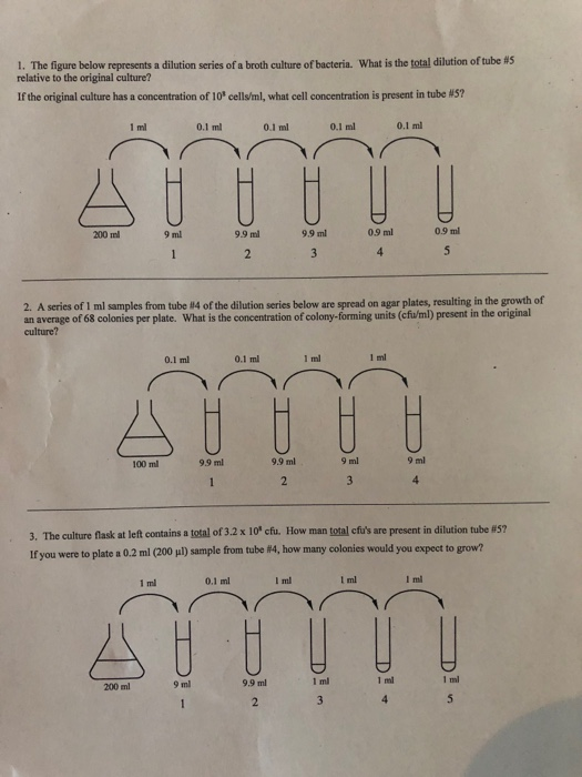Solved Figure Below Represents A Dilution Series Of A Broth Chegg