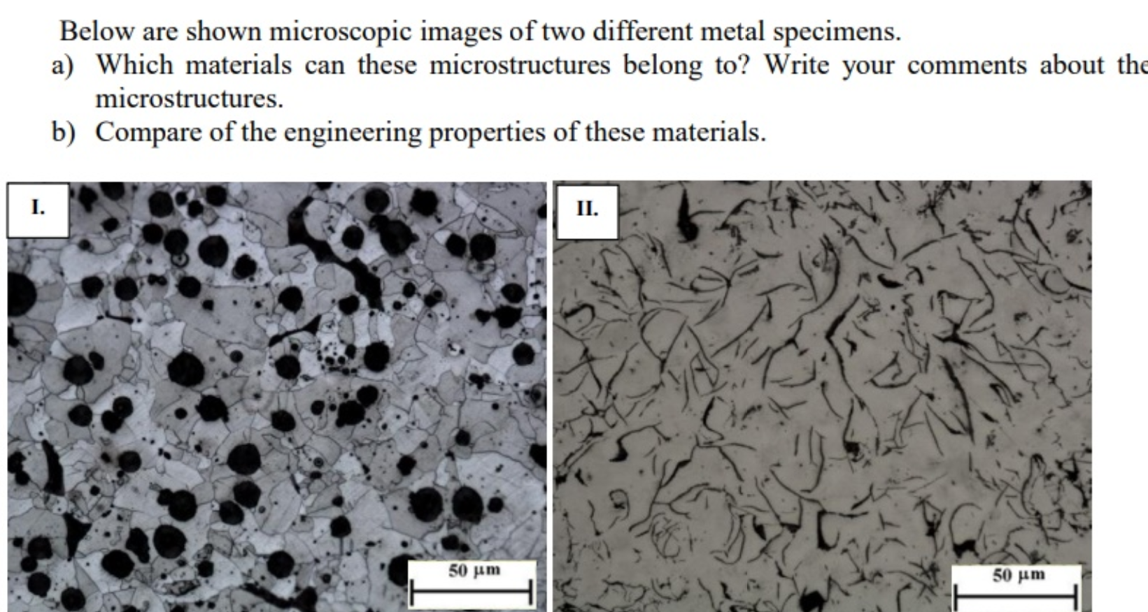 Solved Below are shown microscopic images of two different | Chegg.com