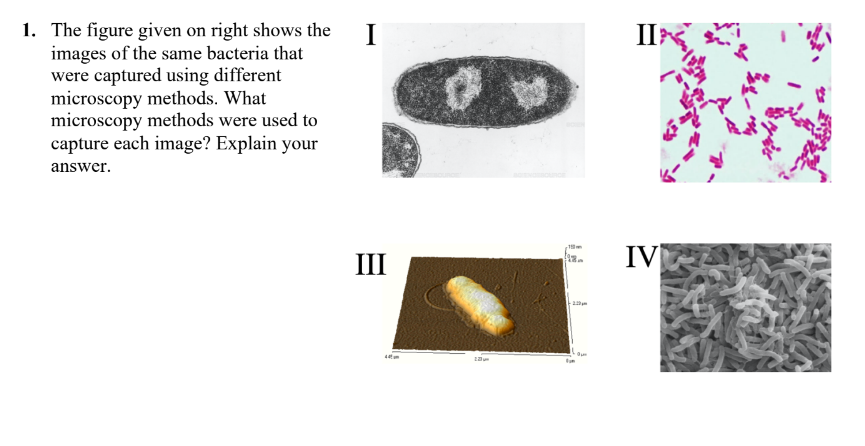 Solved 1. The figure given on right shows the images of the | Chegg.com