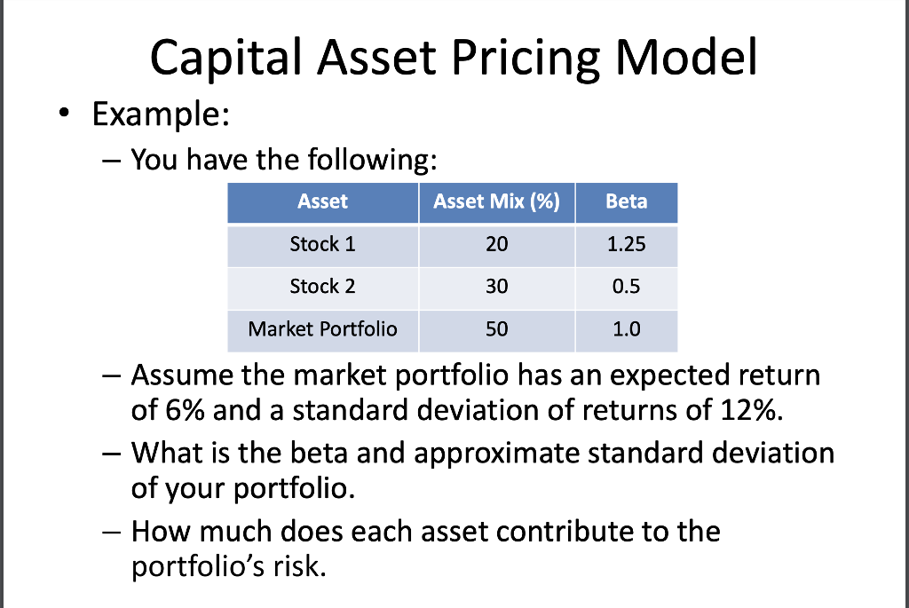 the capital asset pricing model a critical literature review