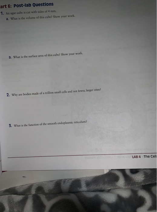 Solved art E Postlab Questions 1. An agar cube is cut with
