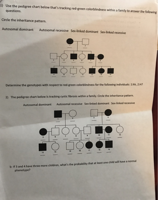 Pedigree Chart For Color Blindness