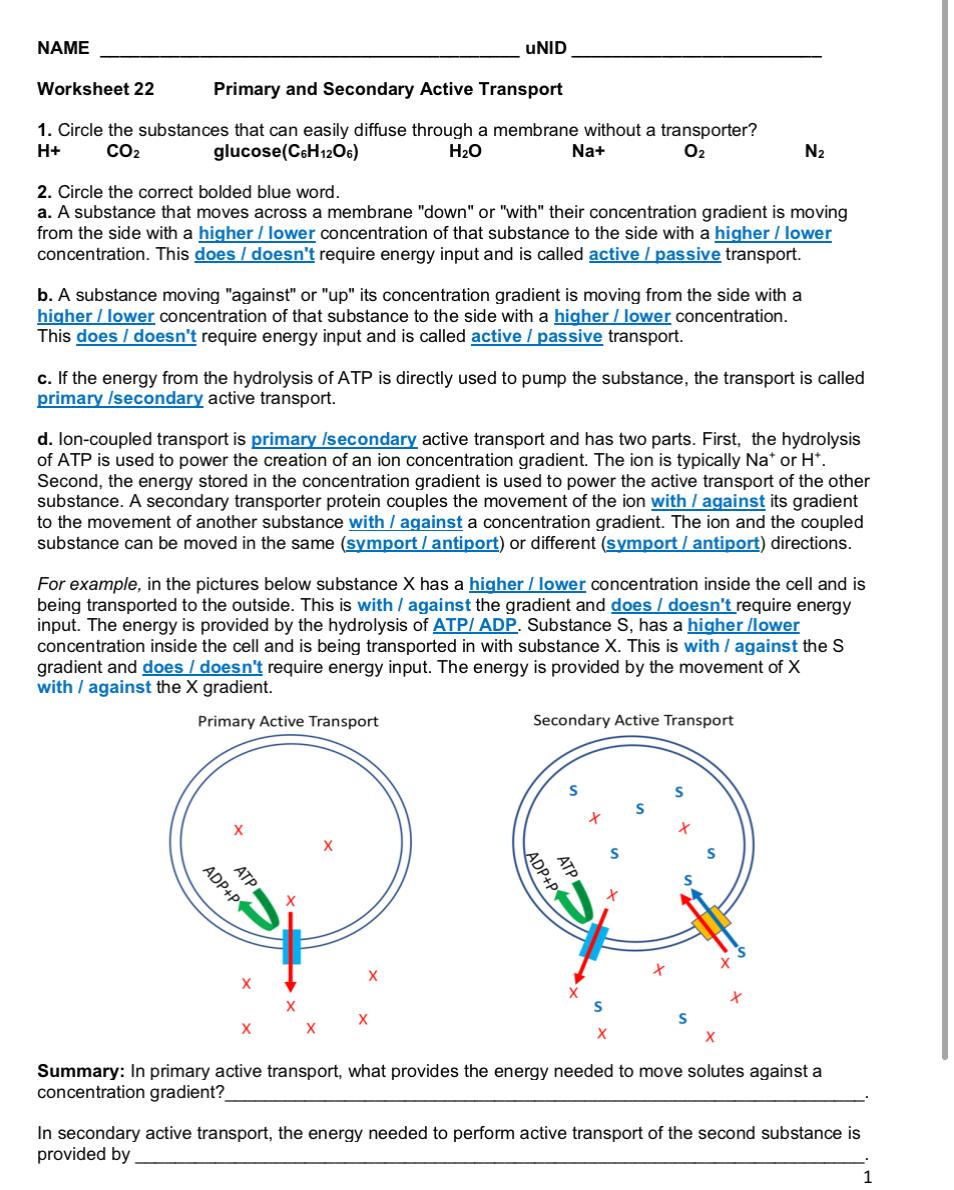 Solved NAME uNID Worksheet 22 Primary and Secondary Active | Chegg.com
