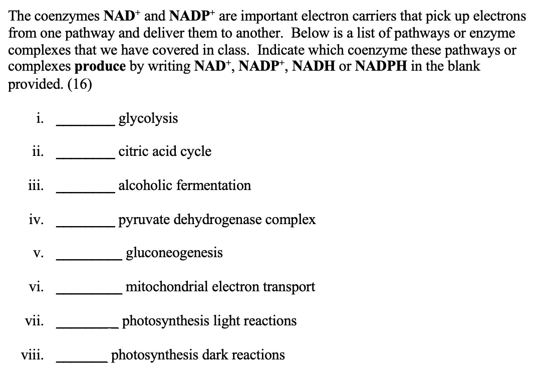 Solved The coenzymes NAD+ and NADP+ are important electron