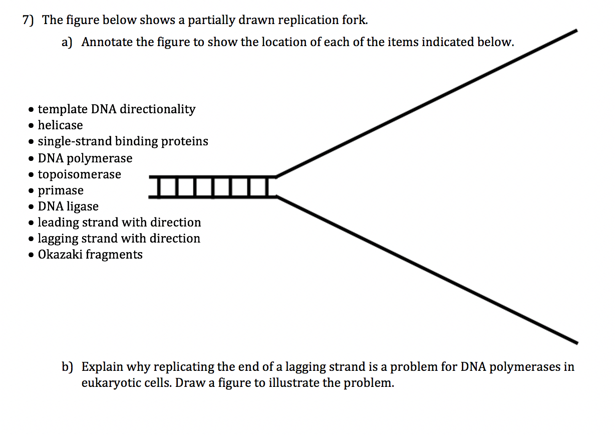 Solved 7) The figure below shows a partially drawn | Chegg.com