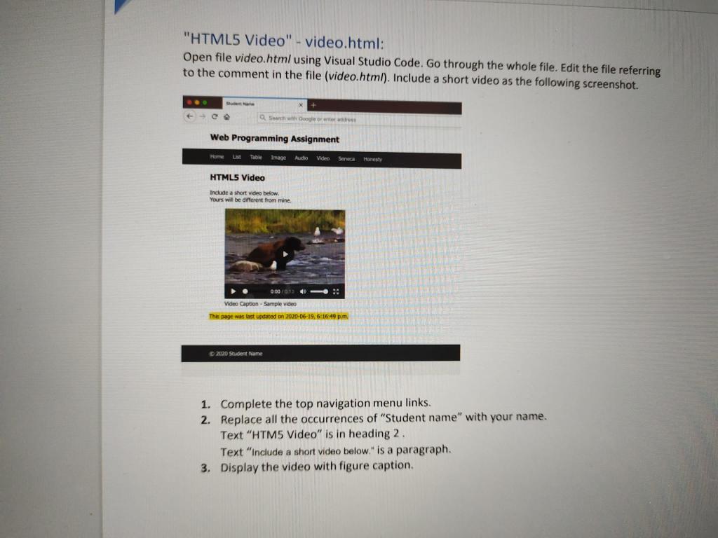 Solved VIDEO.html code | Chegg.com
