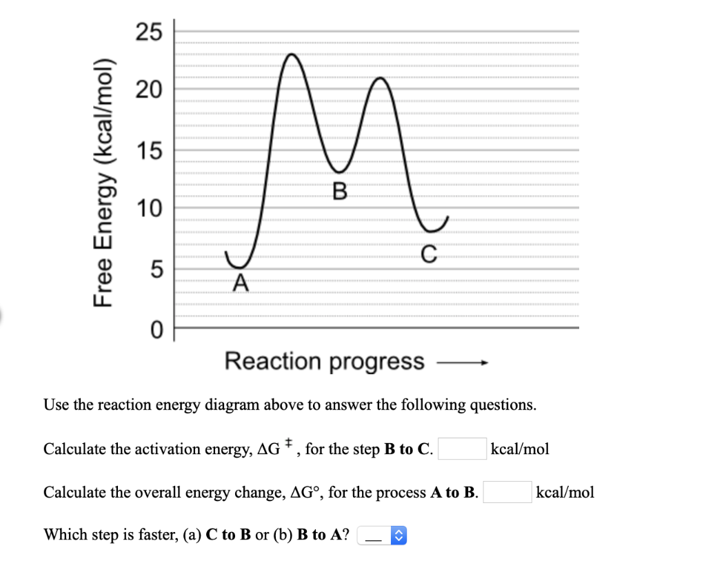 Solved Free Energy (kcal/mol) Reaction Progress Use The | Chegg.com