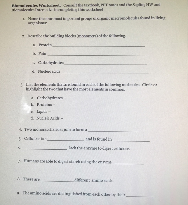 Solved Biomolecules Worksheet Consult The Textbook, PPT