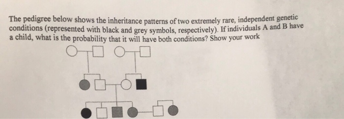 The pedigree below shows the inheritance patterns of | Chegg.com