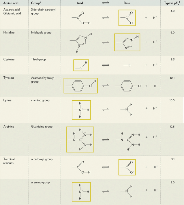 Amino Acid Charge Chart