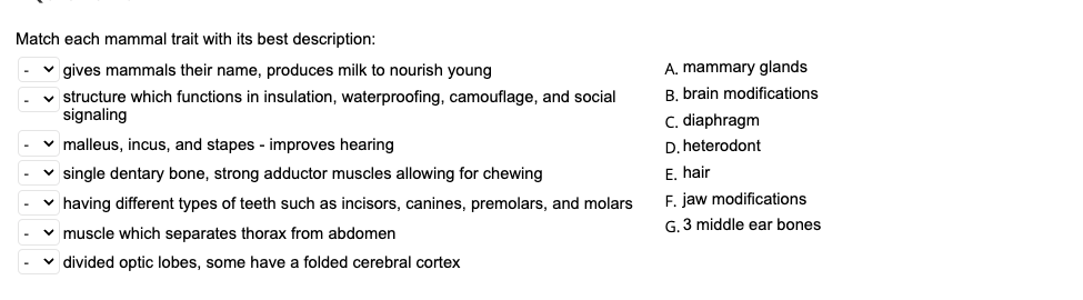 Solved Match each mammal trait with its best description: | Chegg.com