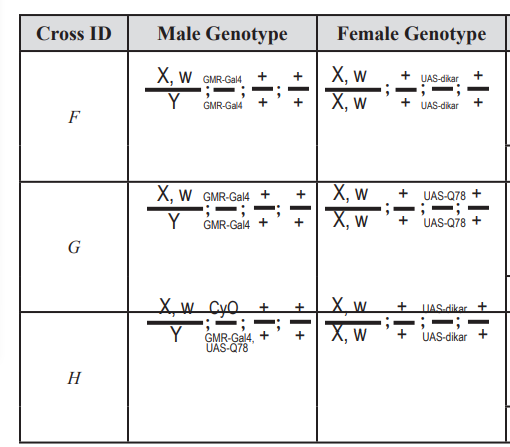 Cross ID Male Genotype Female Genotype + + UAS-dikar | Chegg.com