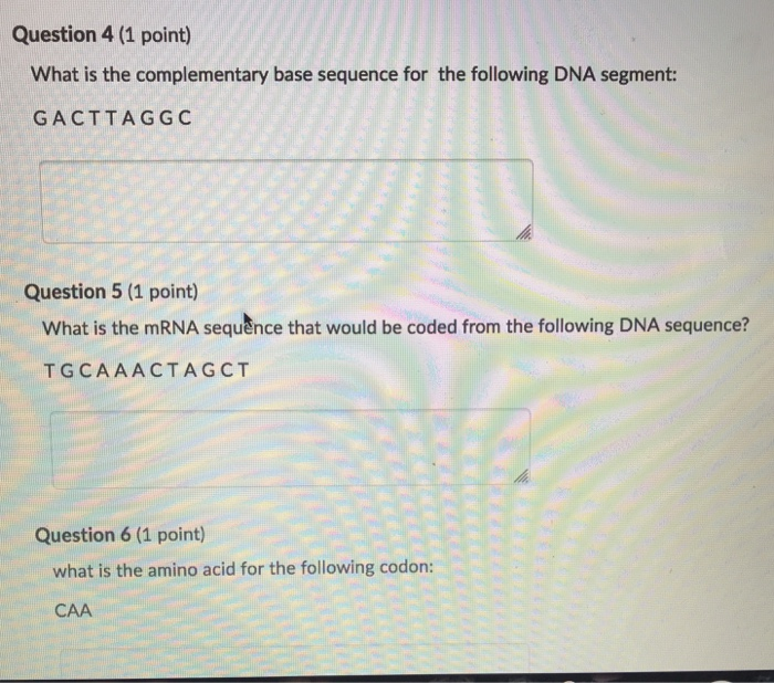 Solved Question 4 (1 Point) What Is The Complementary Base | Chegg.com