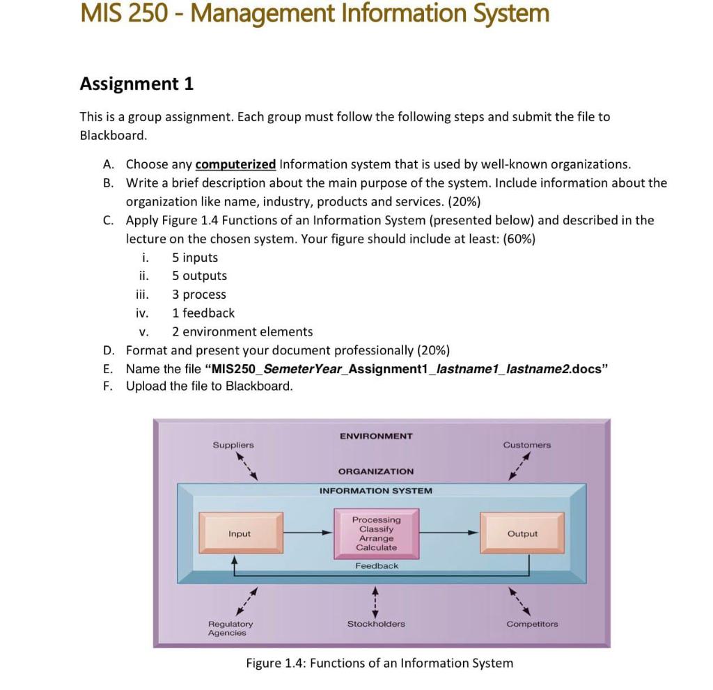 information system assignment questions