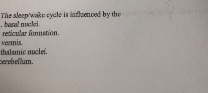 Solved The sleep/wake cycle is influenced by the , basal | Chegg.com