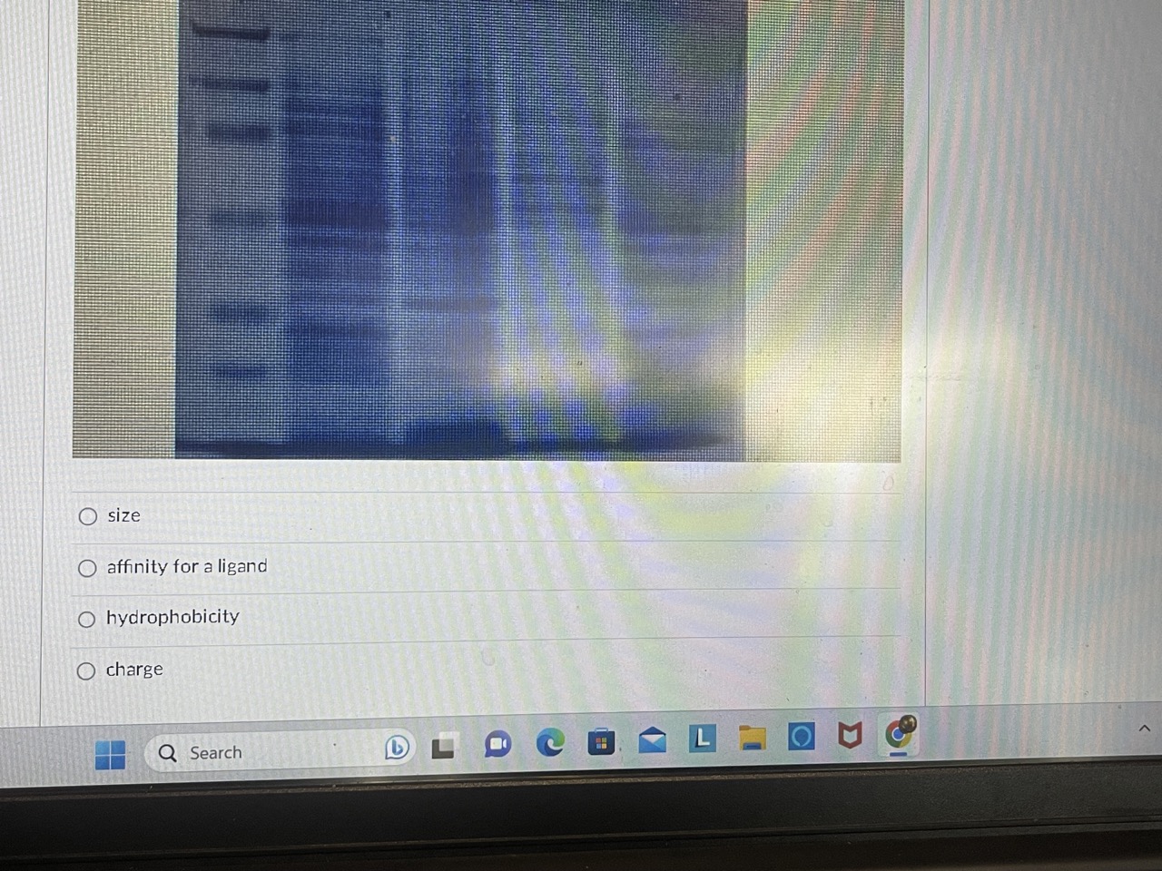 Solved Proteins shown in the below picture were separated | Chegg.com