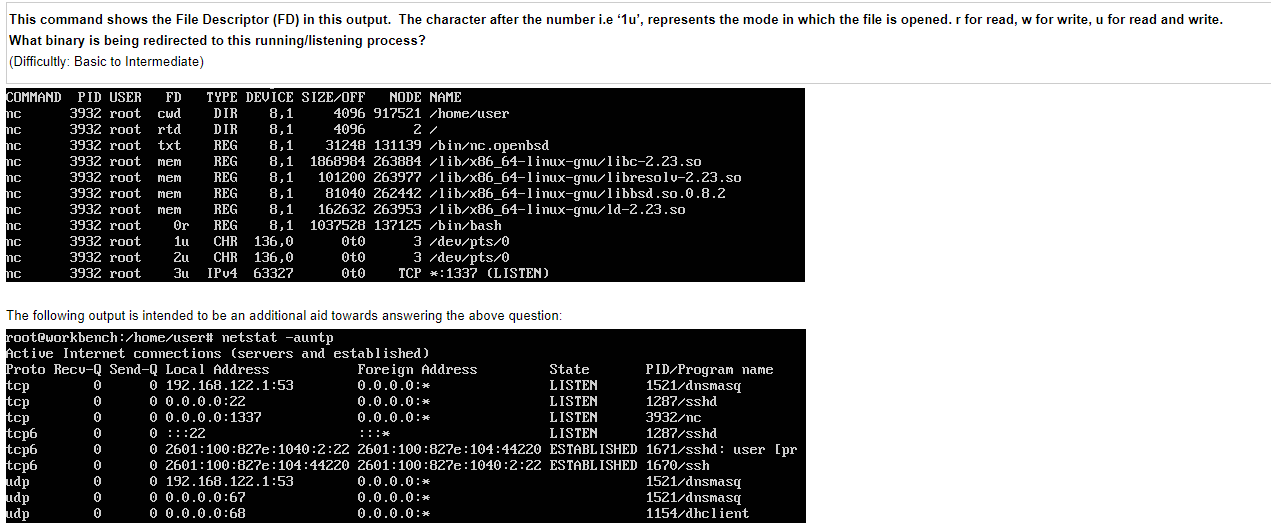 Solved This command shows the File Descriptor (FD) in this | Chegg.com