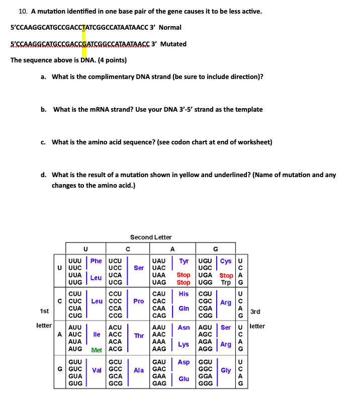 Solved 10. A mutation identified in one base pair of the | Chegg.com