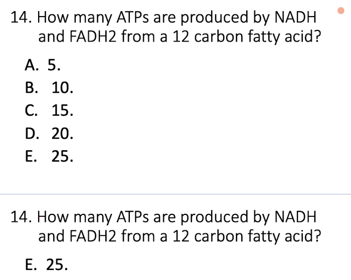 Solved 14 How Many Atps Are Produced By Nadh And Fadh2 From