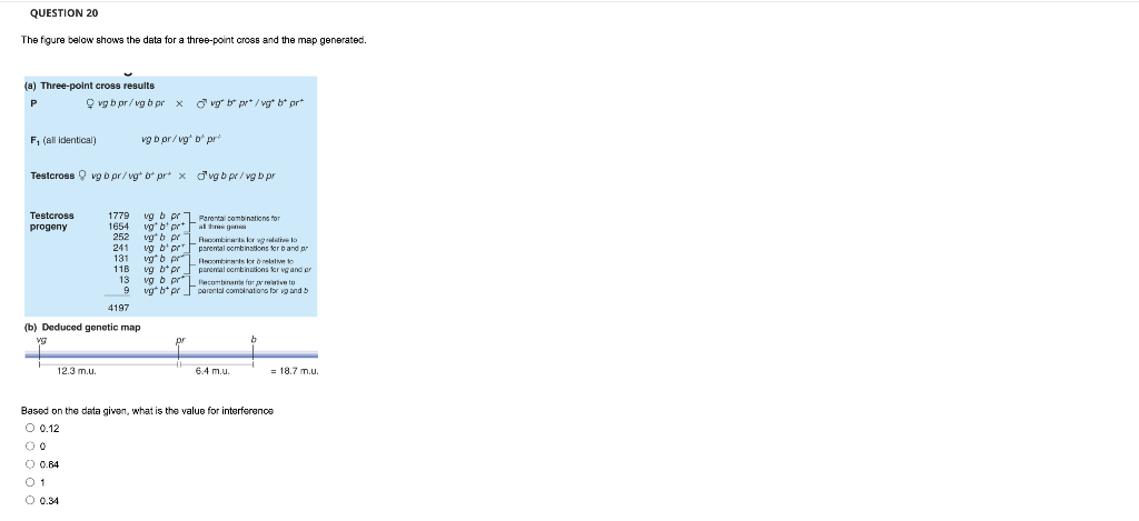 Solved QUESTION 20 The figure below shows the data for a | Chegg.com