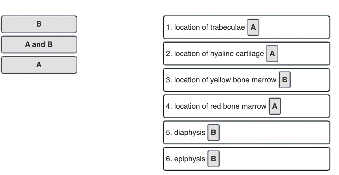 Solved Using The Figure Above, Match The Following. Drag The | Chegg.com