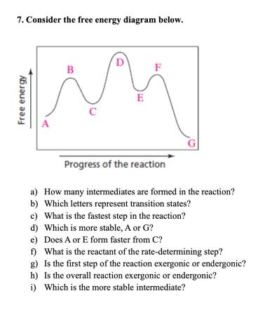 Solved 7. Consider The Free Energy Diagram Below A. How Many | Chegg.com