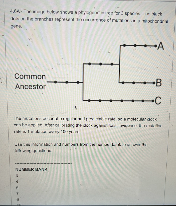 Solved 4.6A - ﻿The image below shows a phylogenetic tree for | Chegg.com