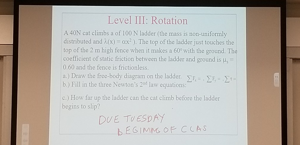 Solved Level III: Rotation A 40N Cat Climbs A Of 100 N | Chegg.com