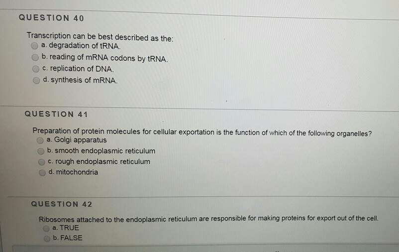 Solved QUESTION 40 Transcription can be best described as | Chegg.com