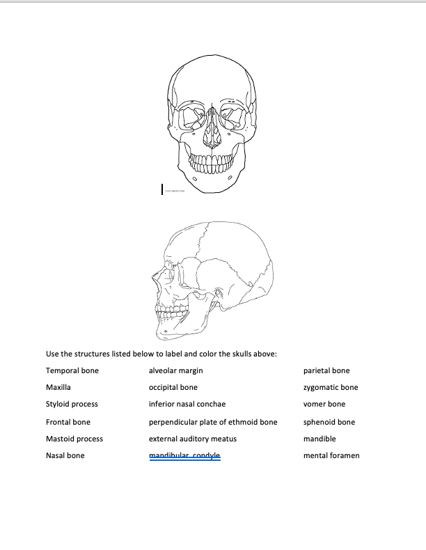 Solved | Use the structures listed below to label and color | Chegg.com