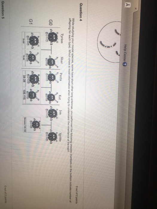Solved Help Center Question 4 0 out of 2 points While | Chegg.com