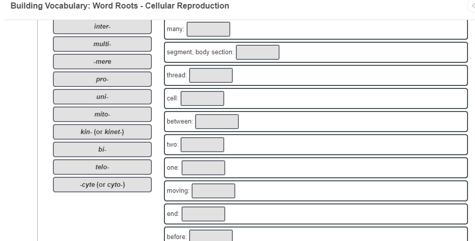 Building Voary Word Roots Cellular Chegg 