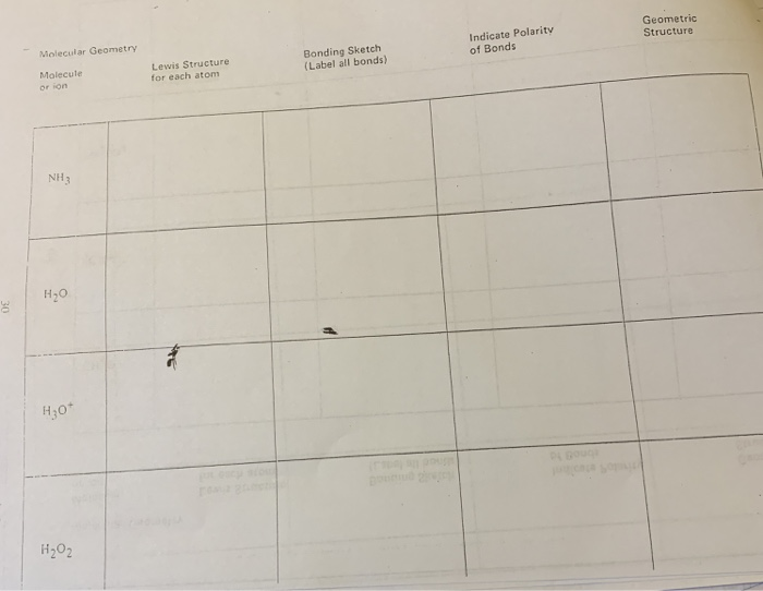 Solved molecular geometryplease help me fill out the chart. | Chegg.com
