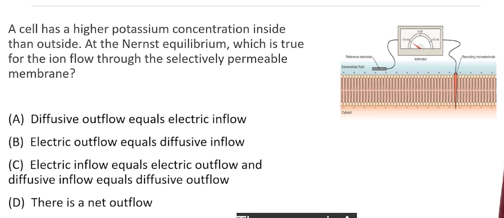 A cell has a higher potassium concentration inside than outside. At the Nernst equilibrium, which is true for the ion flow th