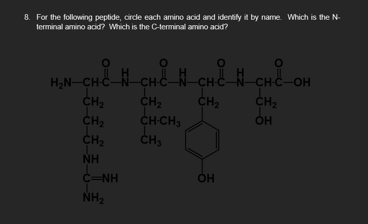 Solved 8. For the following peptide, circle each amino acid | Chegg.com