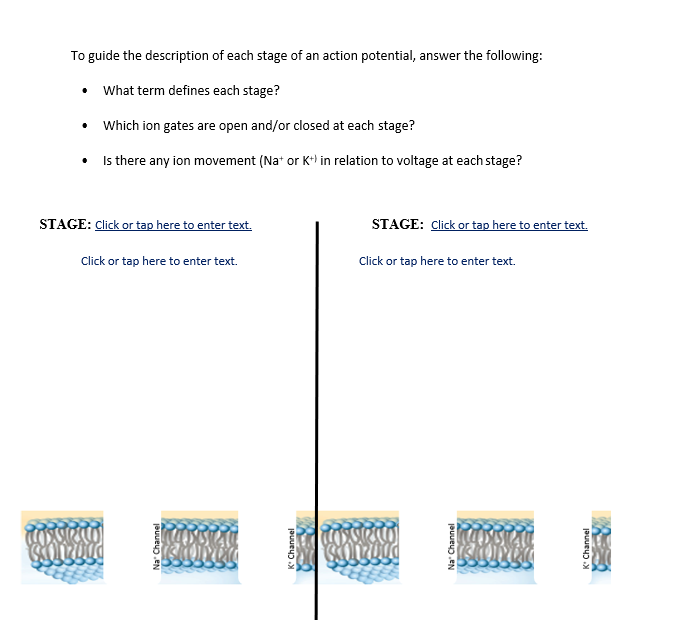 Solved To guide the description of each stage of an action | Chegg.com