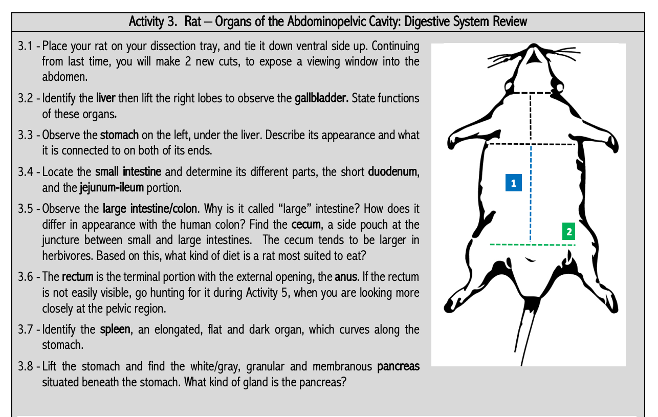 solved-please-answer-the-questions-3-1-3-2-3-3-3-4-4-5-chegg