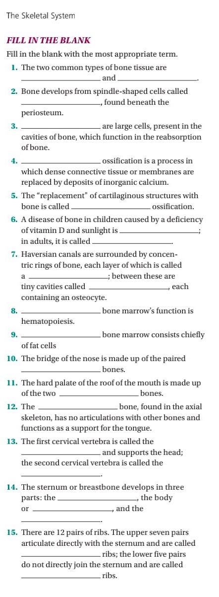 Solved The Skeletal System FILL IN THE BLANK Fill in the | Chegg.com