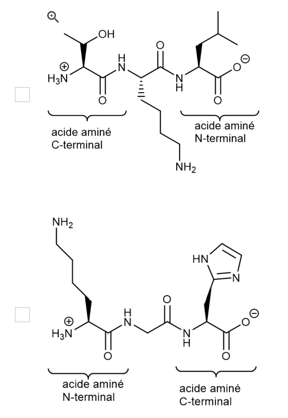 glutathione s-transferase 1 The Multifaceted Role of Glutathione S-Transferases in Health and Disease