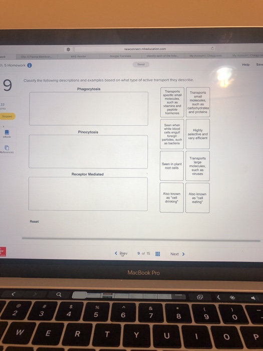 Solved h.5 Homework Help Save Classify the following