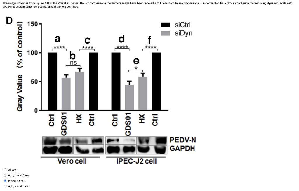 Solved siRNA reduces infection by both strains in the two | Chegg.com