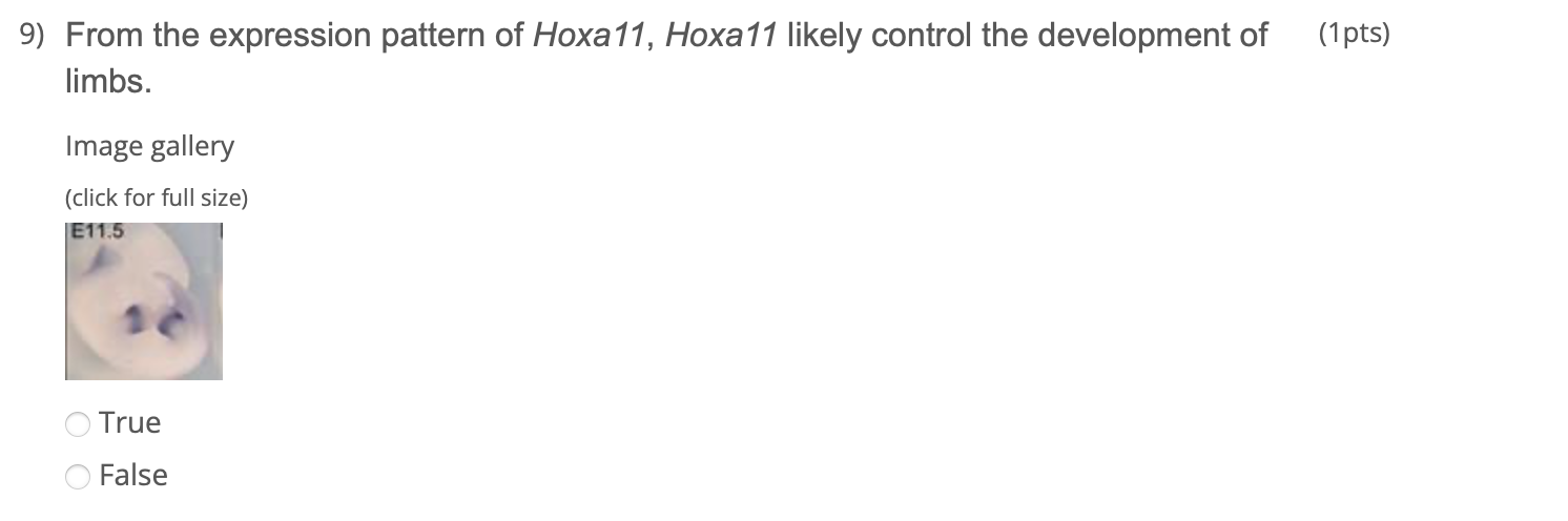 Solved 9) From the expression pattern of Hoxa11, Hoxa11 | Chegg.com