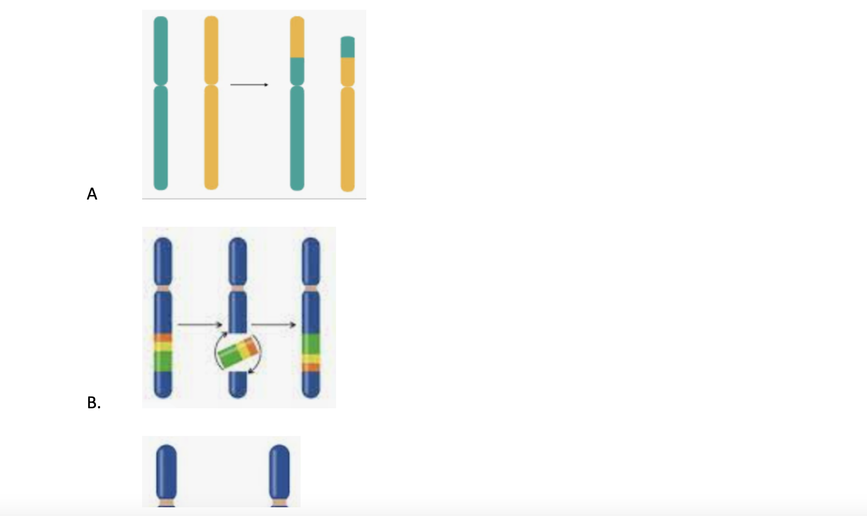 Solved Indicate the type of mutation shown in each figure of | Chegg.com