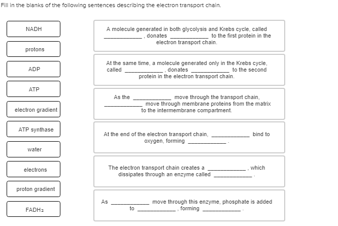 Solved Fill In The Blanks Of The Following Sentences