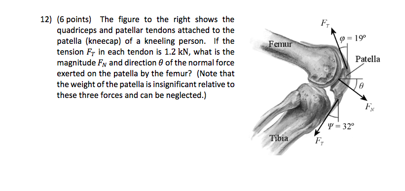 Solved 12) (6 points) The figure to the right shows the | Chegg.com