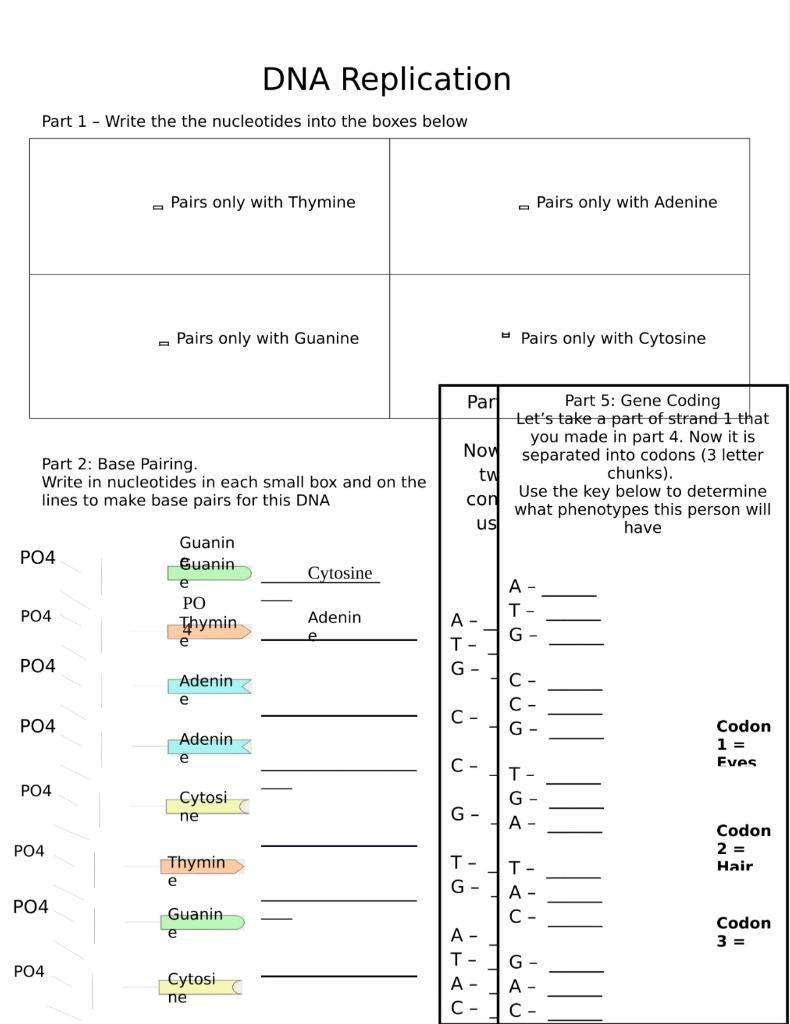 Circle the phenotypes from part 5 in the table | Chegg.com