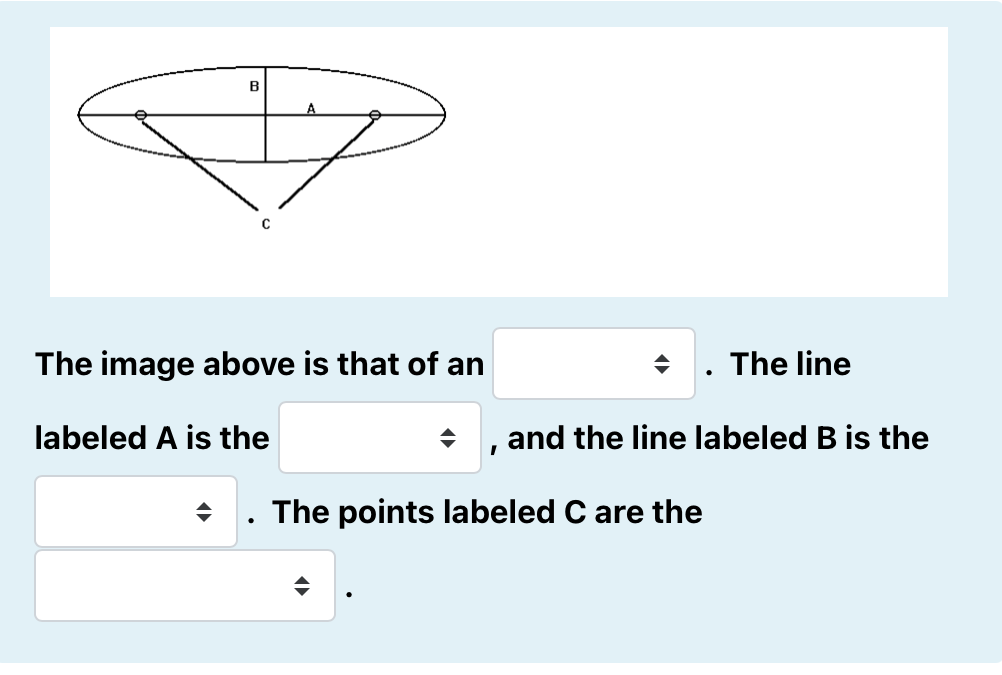 Solved B The Image Above Is That Of An Labeled A Is The → | Chegg.com