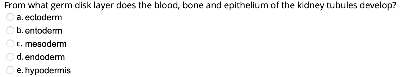 Solved From what germ disk layer does the blood, bone and | Chegg.com